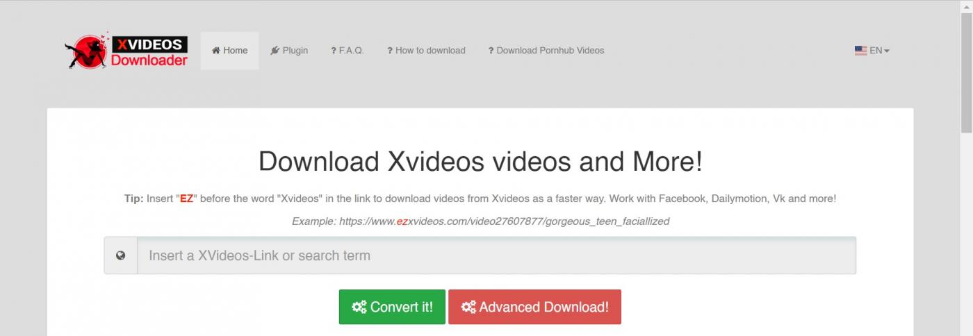 X Videos Downlod - Download and Save HD Porn from XVIDEOS with These 10 Best XVIDEOS  Downloaders in 3 Minutes