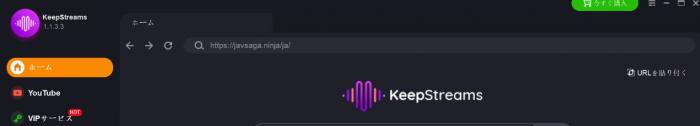 5 ways to save videos from ADULTSEEK to your PC