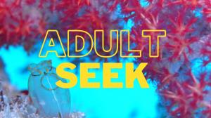 5 formas de guardar videos de Adultseek a su PC