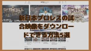 下載新日本職業摔跤比賽視頻的5種方法