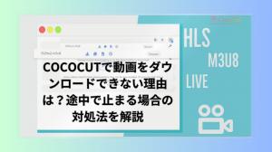 為什麼我不能下載有關Cococut的視頻？說明如果在視頻中間停止該怎麼辦。