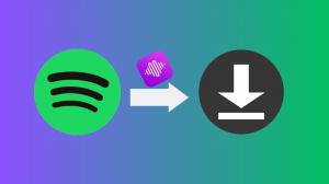 Summary of 5 software to remove DRM and convert Spotify music