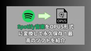 Scopri come convertire la musica Spotify in formato Opus per la memoria permanente.