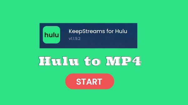 [チュートリアル】Hulu動画をMP4にダウンロード/変換するベストな方法