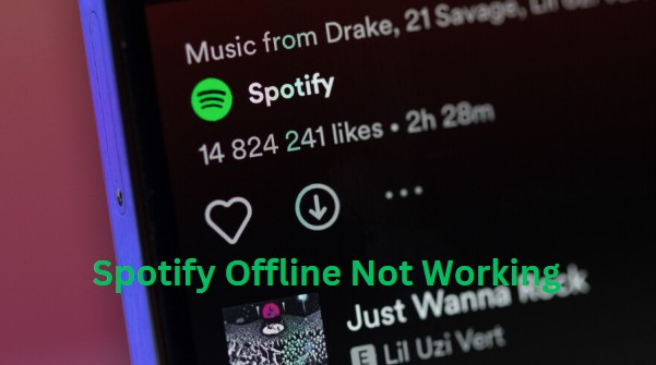 How to Fix Spotify Offline Not Working?