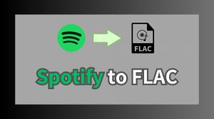 Wie Spotify zu FLAC-Format? Versuchen Sie Best Spotify FLAC Downloader KeepBeats